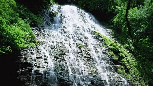 智能化高性能